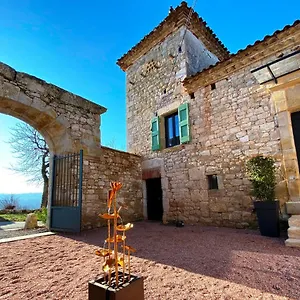 Bed & Breakfast Domaine De Lejos - Portes D'albi Lamillarie